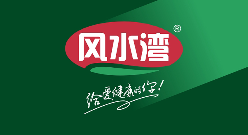 画册设计-风水湾